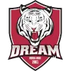 Dream Korea logo