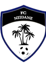 Nzeidane logo