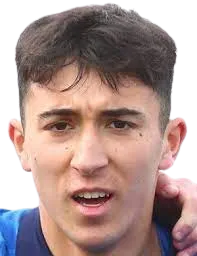 Leonardo Mendicino logo