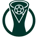 Brazilian Serie D photo 