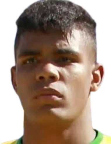 Ronaldo Rodrigues de Souza logo