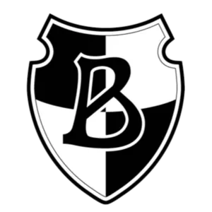 German cup runner-up logo