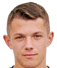 Diego Madritsch logo