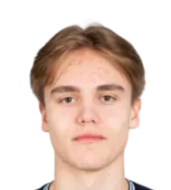 Leander Alvheim logo