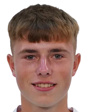 dmitriy degtyarenko logo