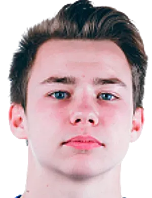 Nikita Saltykov logo