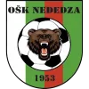 Nededza logo