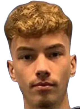 David Bogdan Ciubăncan logo