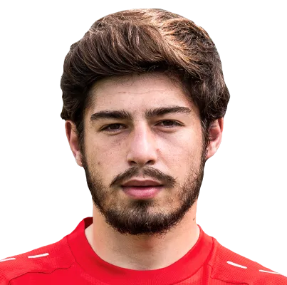 Giorgi Guliashvili logo