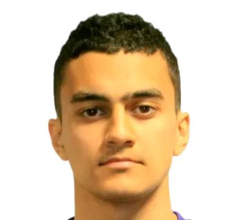 aykhan suleymali logo