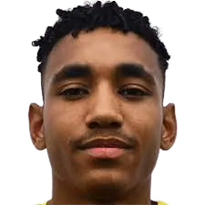 Naim Van Attenhoven logo