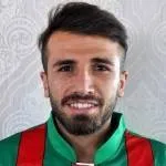 Mehmet Siddik Istemi logo