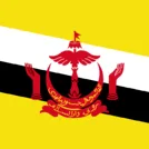 Brunei Futsal logo