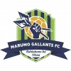 Marumo Gallants FC logo