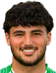 Mehmet Avlayici logo