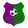 Viitorul Domnesti logo