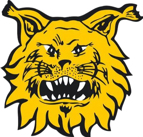FC Ilves II U20 logo