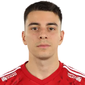 Dan Cristian Neicu logo