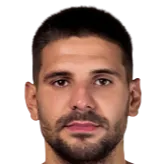 Aleksandar Mitrović