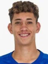 Stênio Zanetti Toledo logo