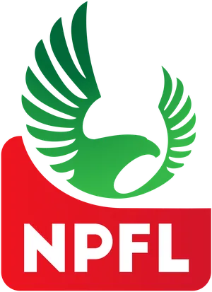 Nigeria Premier League photo 