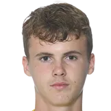 Williot Swedberg logo