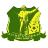 Shire Endaselassie FC logo