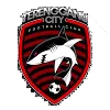 Terengganu City FC logo