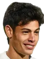 Franco Zapiola Yamartino logo