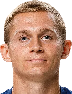 Dmitri Kamenshchikov logo