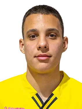 Oleksandr Nikolyshyn logo