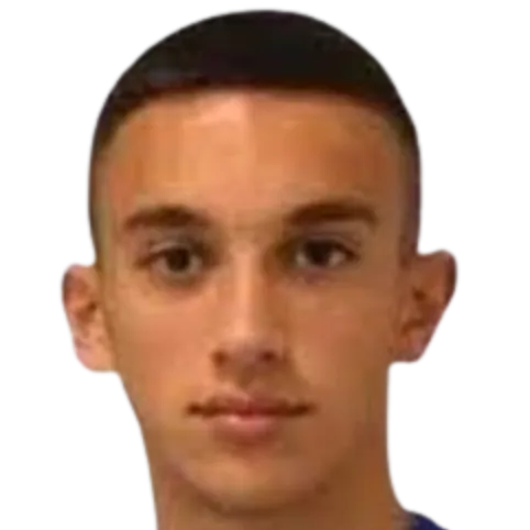 Andrija Bulatović logo