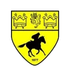 Newmarket Town logo
