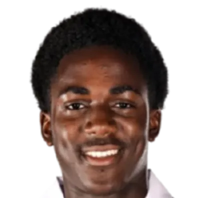 Terry Chinecherem Van De Ven logo