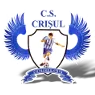 Crisul Chisineu Cris logo