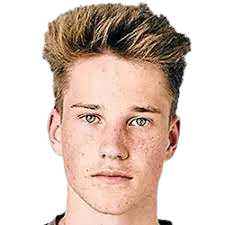 Christian Viet photo