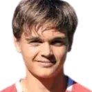 Sebastian Laustsen logo