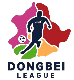 Dongbei Star Football Super League photo 
