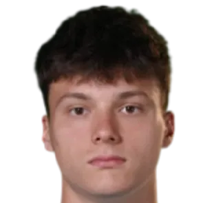 Dmitri Vasiljev logo