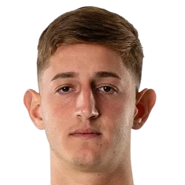 Nicolas Dubersarsky logo