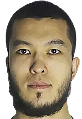 dauren mazhitov logo