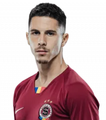 Srđan Plavšić logo