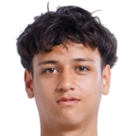 Tiago Vermeulen photo 