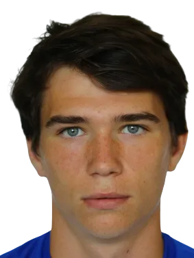 Artem Shulianskyi logo