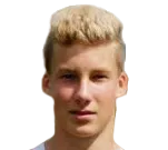 Michael Wildbacher logo