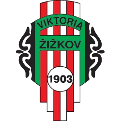 Viktoria Zizkov logo