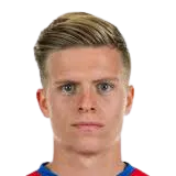 Dženis Burnić logo