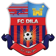 Dila Gori logo
