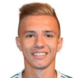 Radion Posievkin logo