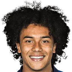 Aaron ciammaglichella logo